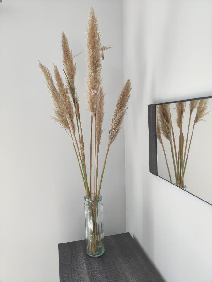 Appartement T3 Plume Hyper Centre D'Ernée Kültér fotó